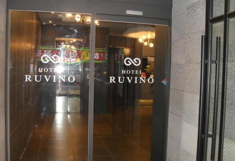 호텔 Cheongju Rubino