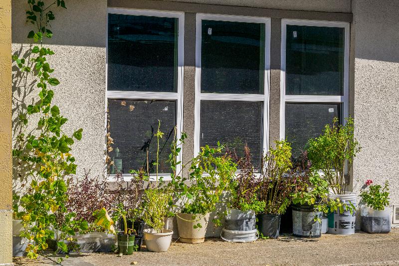 فندق Comfort Stay By Oyo Texarkana East, Ar I30