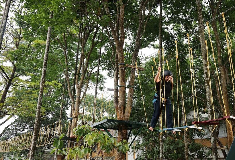 ホテル Great Trails Wayanad By Grt