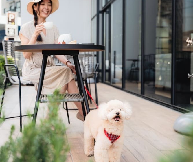 فندق Jal City Toyama