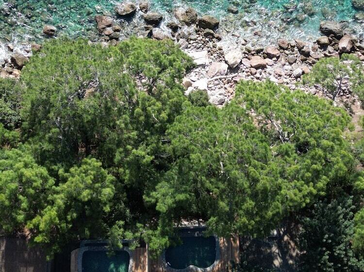 酒店 La Boheme Kabak