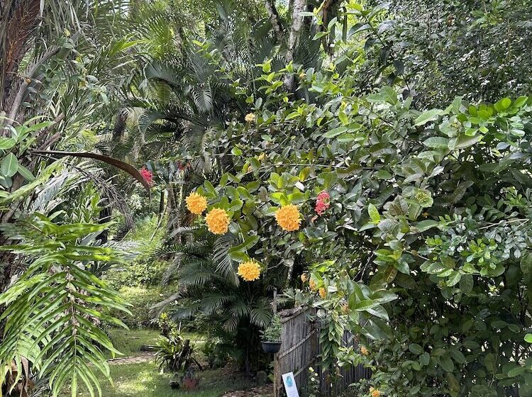 هتل Pousada Horizonte Azul