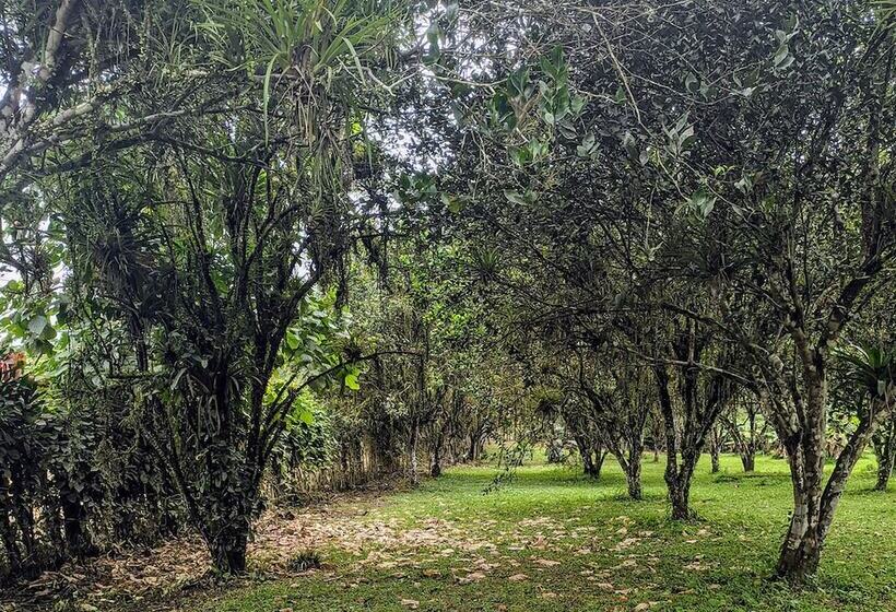 فندق Puerto Quito Lodge