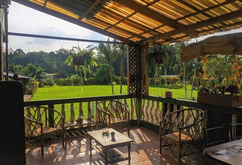 فندق Puerto Quito Lodge