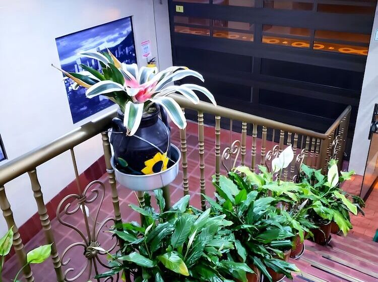 Отель Rivera Deluxe