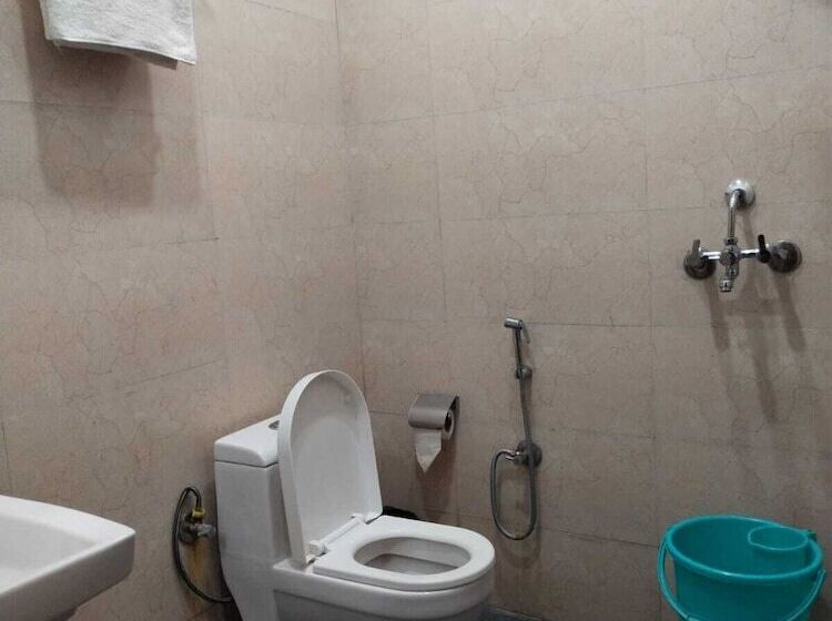 Отель Shri Krishna