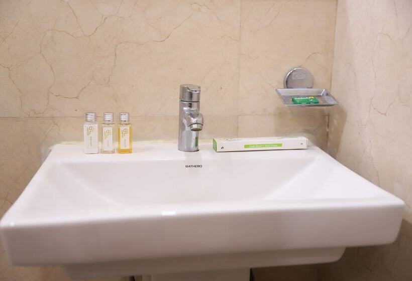 Отель Shri Krishna