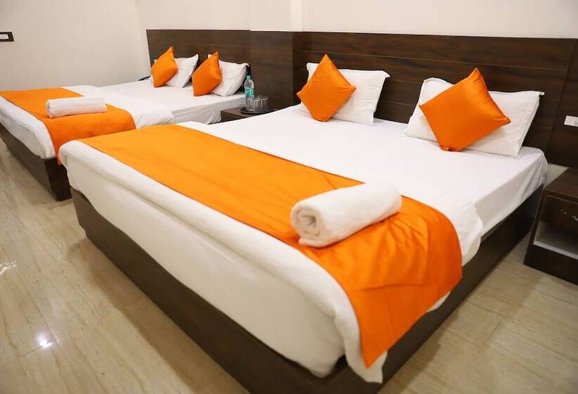 Отель Shri Krishna