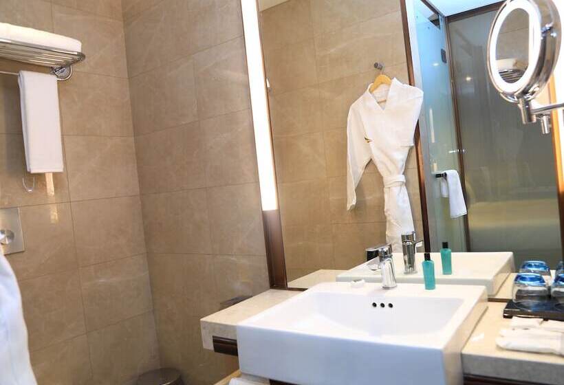 Otel Skylight In Terminal