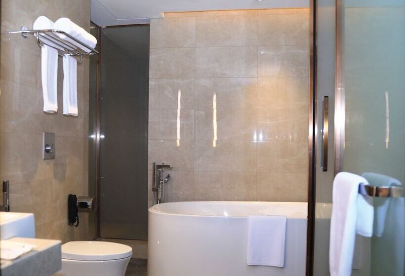 Otel Skylight In Terminal