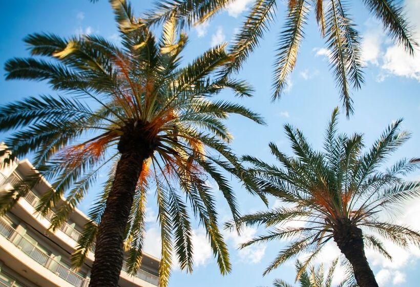 Отель Stay  Rhodes