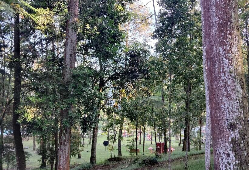 酒店 Tawangmangu Wonder Park