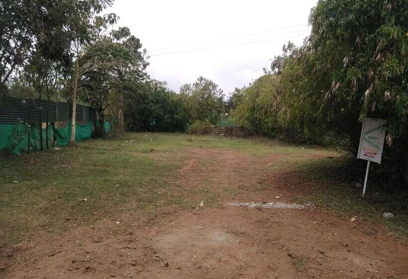 Отель The Big Cat Den Resort