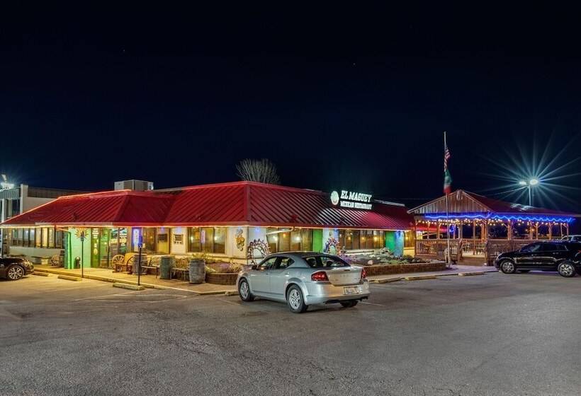 Отель Vettecity