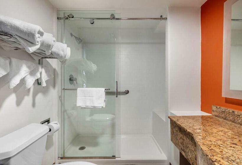 Отель Vettecity