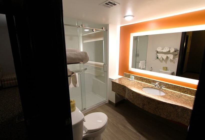 Отель Vettecity