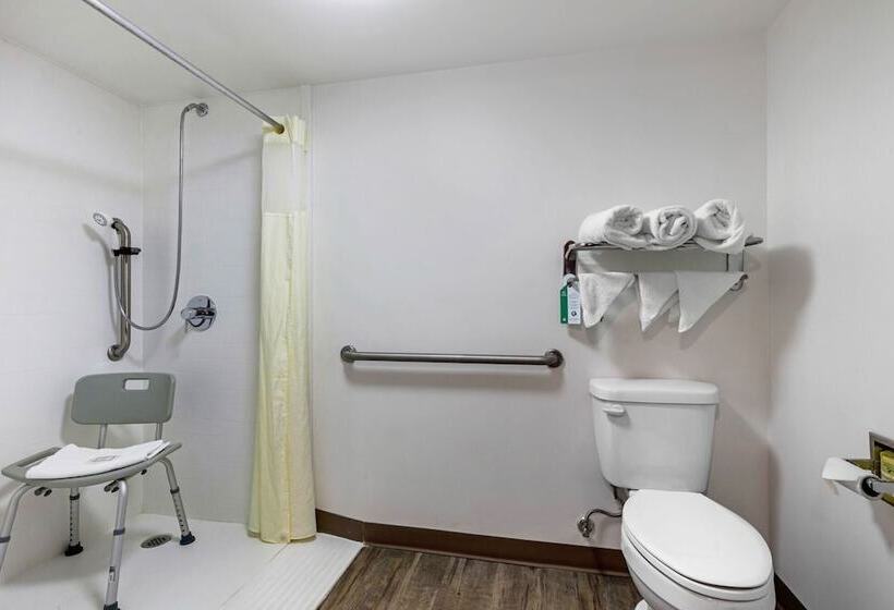 Отель Vettecity