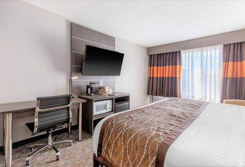 Отель Vettecity