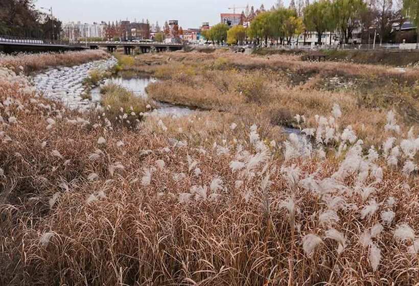 Jeonju Jeonju Hanok Gohui Pension