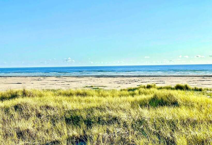 فندق على الطريق Arena Del Mar