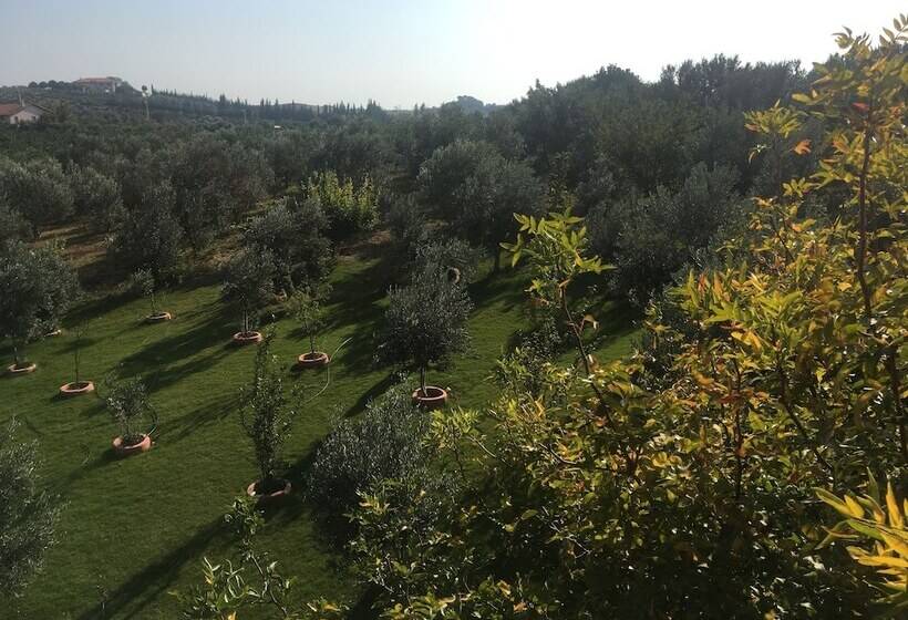 Mount Ida Detox Hotel Adults Only Izmir