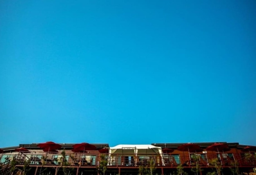 Muan Full House Pension