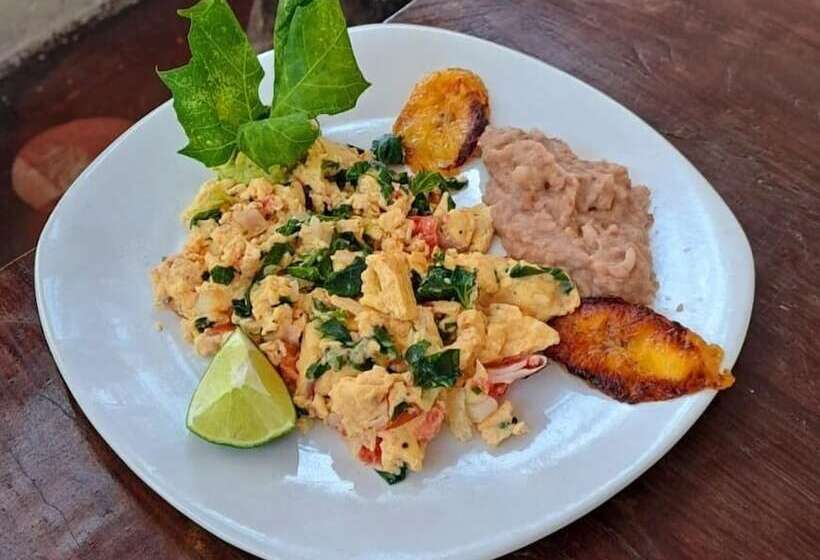 ペンション Casa Terracota Bacalar