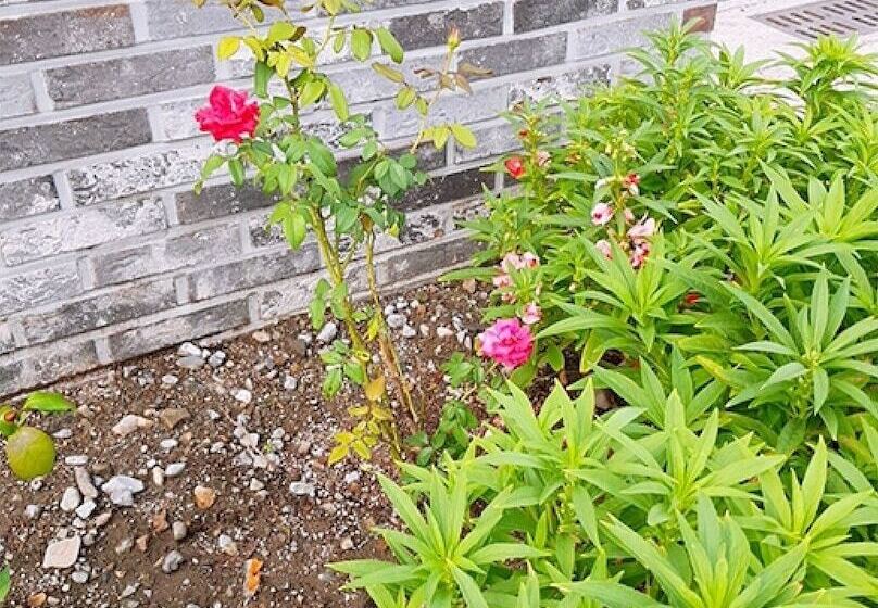 膳宿费 Gyeongju Sopung Stay