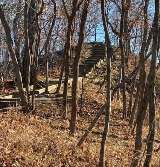 بنسيون Little Bluff Inn