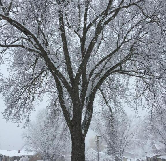 بنسيون Little Bluff Inn