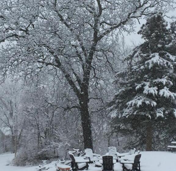 بنسيون Little Bluff Inn