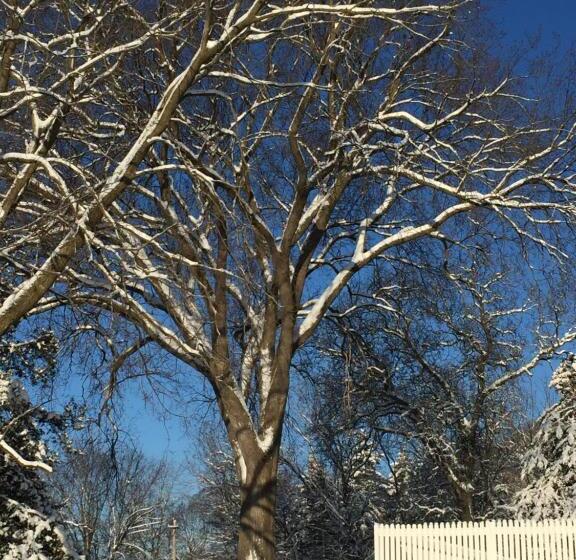 بنسيون Little Bluff Inn