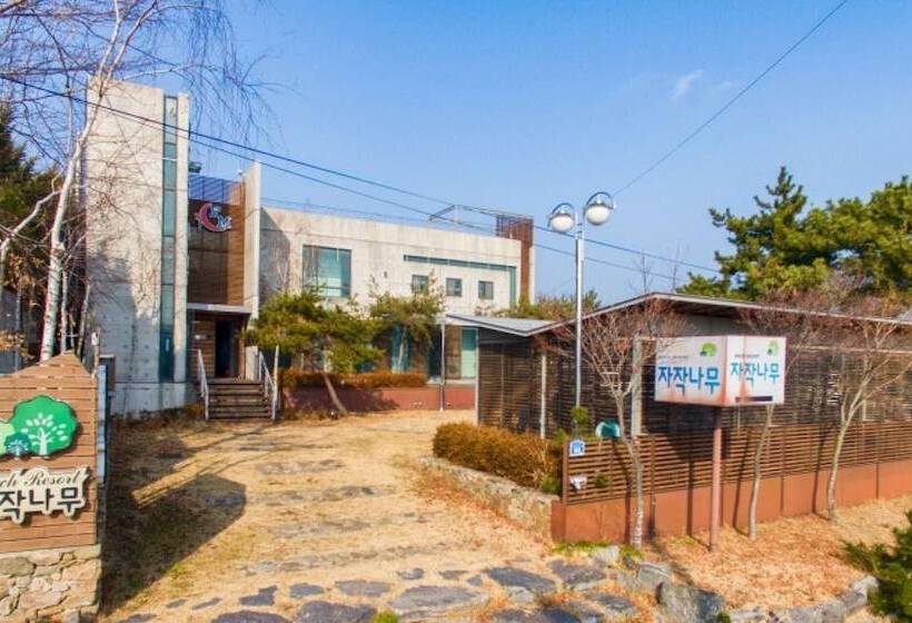 פנסיון Taean Jajaknamu Resort