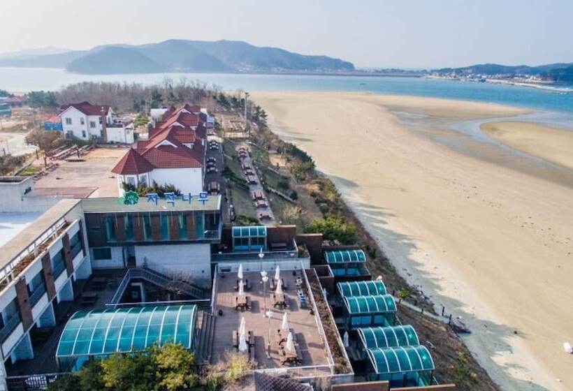 פנסיון Taean Jajaknamu Resort