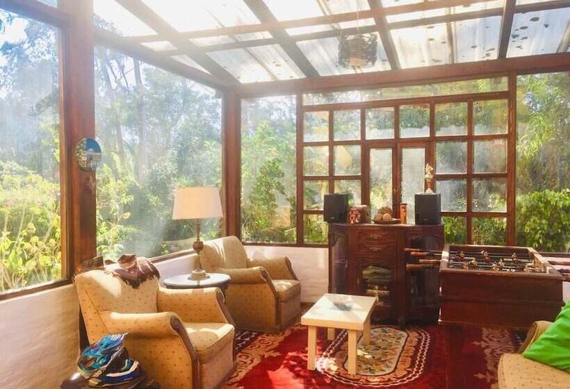 פנסיון Yellow Guest House A Boutique Andean Lodge