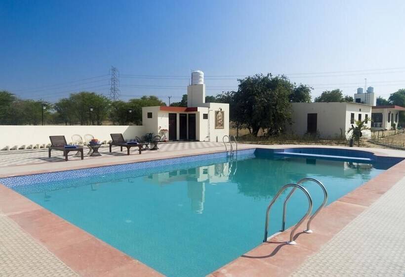 Курорт 777, Pushkar