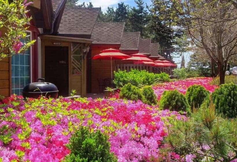 Taean Avec Mont Pension