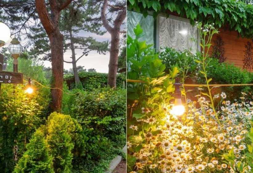 Taean Avec Mont Pension