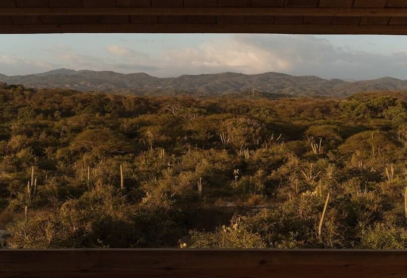 Terrestre, A Member Of Design Hotels