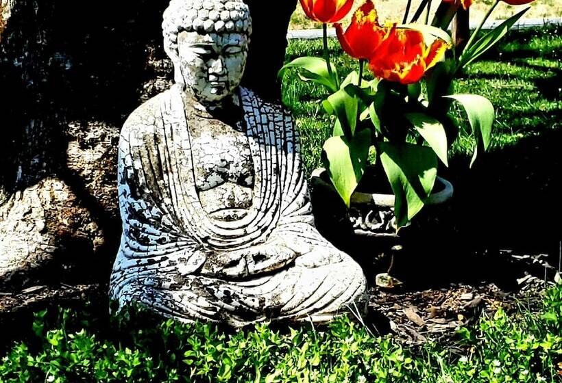 The Design Apartment At Sanctuary Of The Swan Wellness Hotel Swan Rescue Farm