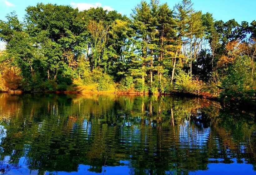 The Design Apartment At Sanctuary Of The Swan Wellness Hotel Swan Rescue Farm