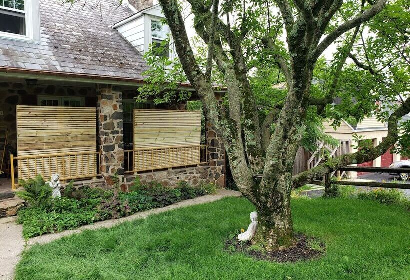 The Design Apartment At Sanctuary Of The Swan Wellness Hotel Swan Rescue Farm