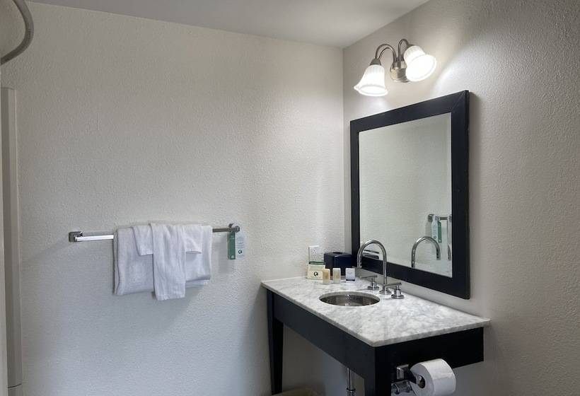 The Mclure Hotel And Conference Center