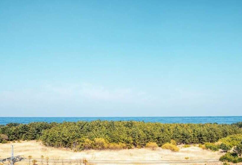 Yangyang Stay Frieden Pension