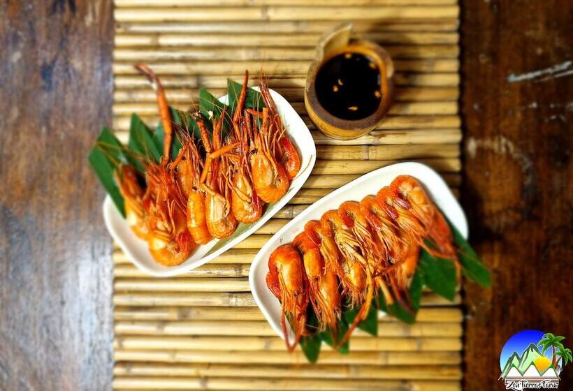 Zen Tierras Farm Powered By Cocotel