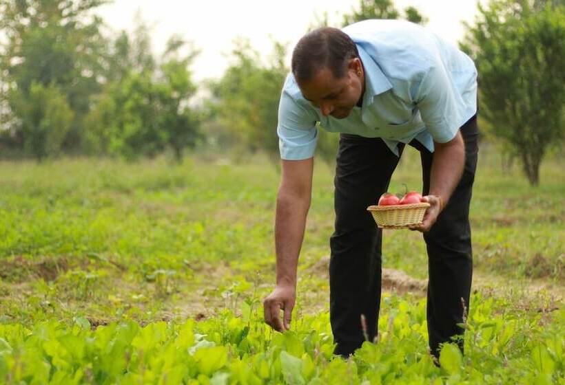 Anantvan Ranthambore By Asapian Hotels