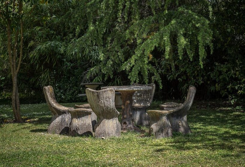 B&b Château Les Orchidées Saumur