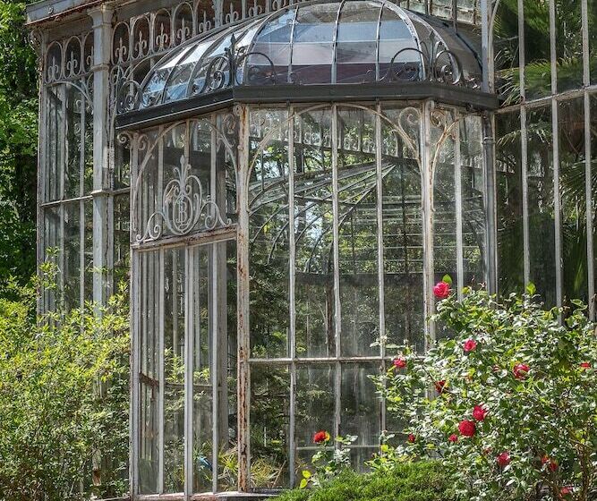 B&b Château Les Orchidées Saumur