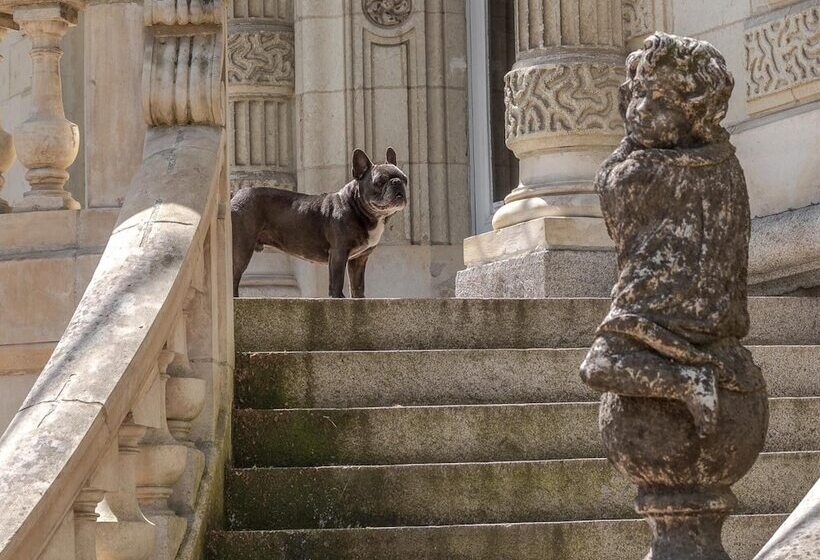 B&b Château Les Orchidées Saumur