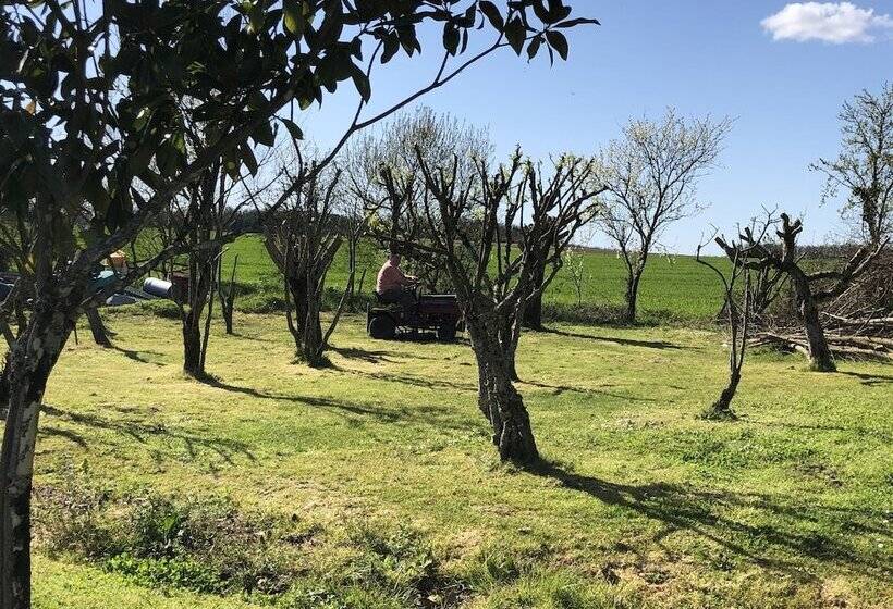 住宿加早餐  Les Geais